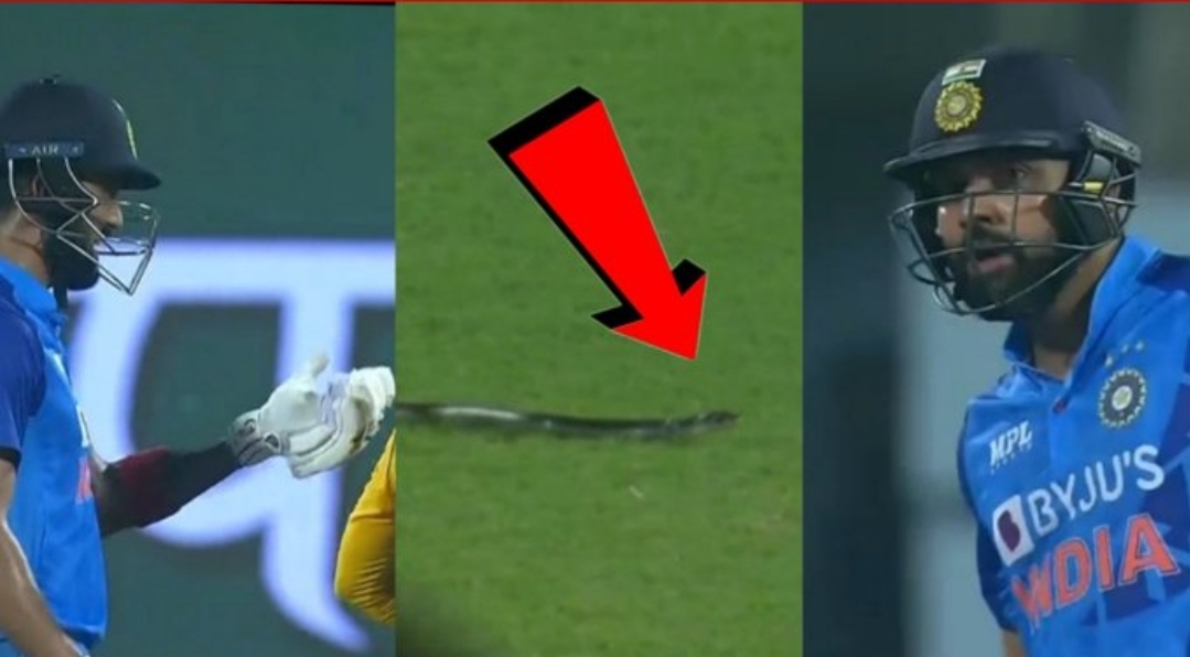 WATCH: Snake stops play during T20I between India and South Africa